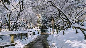The best new cars for driving in Rochester, NY winters